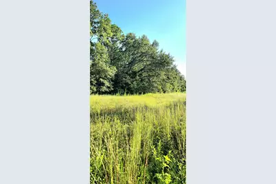 Parcel B Hwy 177A, Bonifay, FL 32425 - Photo 7