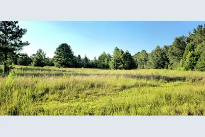 Parcel B Hwy 177A, Bonifay, FL 32425 - Photo 5