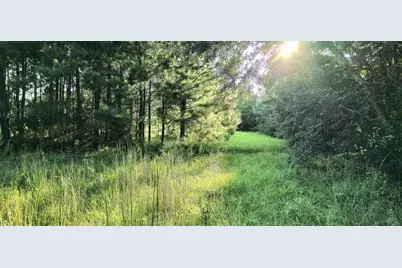 Parcel B Hwy 177A, Bonifay, FL 32425 - Photo 3