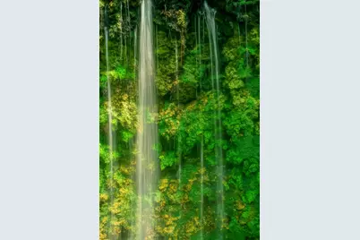 Parcel B Hwy 177A, Bonifay, FL 32425 - Photo 11