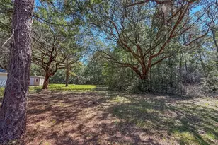 5703 Old River Rd, Baker, FL 32531 - Photo 21