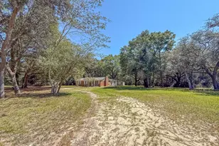 5703 Old River Rd, Baker, FL 32531 - Photo 13