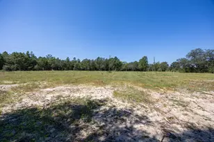 150 Janice Ln, Crestview, FL 32539 - Photo 17