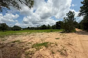 150 Janice Ln, Crestview, FL 32539 - Photo 13