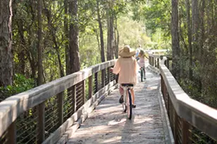 11 N Hagan Ln N, Inlet Beach, FL 32461 - Photo 11