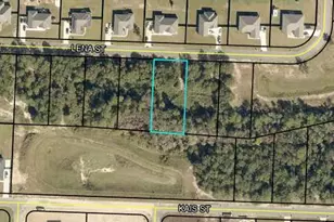 Lot 3 Lena St, Baker, FL 32531 - Photo 1