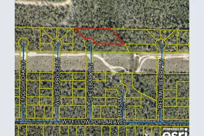 1 Acre Shellbark Lane, Defuniak Springs, FL 32433 - Photo 1