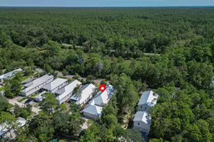 117 Devlieg Ave, Santa Rosa Beach, FL 32459 - Photo 47