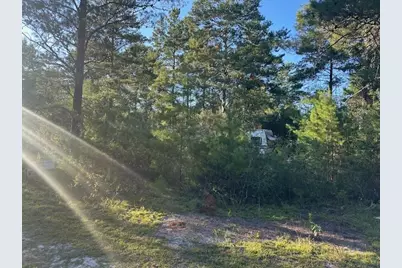 Xxx Tangerine Street, Defuniak Springs, FL 32433 - Photo 3