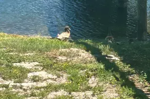 4000 Gulf Terrace Dr, Destin, FL 32541 - Photo 35