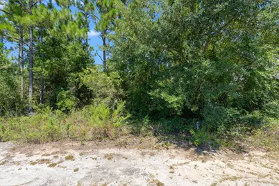 Lot 4 & Lot 7 Bear Creek Cottages, Freeport, FL 32439 - Photo 7