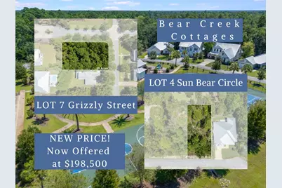 Lot 4 & Lot 7 Bear Creek Cottages, Freeport, FL 32439 - Photo 1