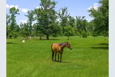 13935 Blue Springs Road, Youngstown, FL 32466 - Photo 117