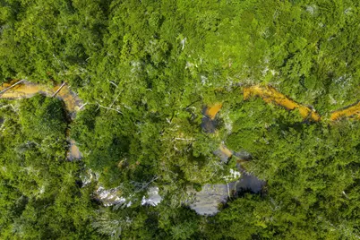 13935 Blue Springs Road, Youngstown, FL 32466 - Photo 123