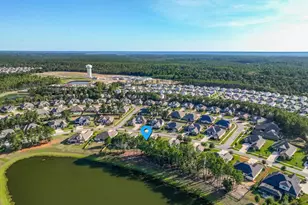 142 Mill Pond Cv, Freeport, FL 32439 - Photo 79