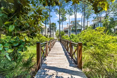 38 Shingle Lane, Inlet Beach, FL 32461 - Photo 83
