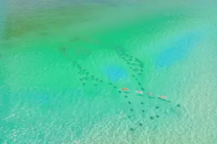 93 N Emerald Cove Ln N, Inlet Beach, FL 32461 - Photo 61