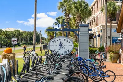 93 N Emerald Cove Lane N, Inlet Beach, FL 32461 - Photo 63