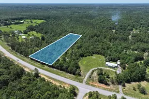 4 2 Acres Poverty Creek Rd, Crestview, FL 32539 - Photo 1