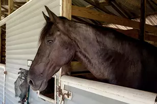 4328 Carriage Ln, Destin, FL 32541 - Photo 61