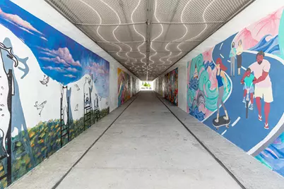 29 Beach View Drive, Inlet Beach, FL 32461 - Photo 43