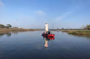 496 Soundview Ct, Mary Esther, FL 32569 - Photo 35