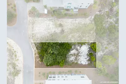 359 Cord Grass Way, Cape San Blas, FL 32456 - Photo 3