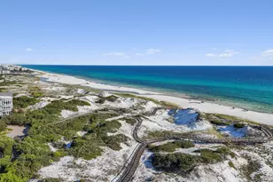 260 Salt Box Ln, Watersound, FL 32461 - Photo 43