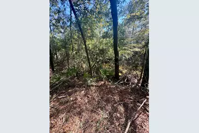 X Eagles Way, Defuniak Springs, FL 32433 - Photo 9