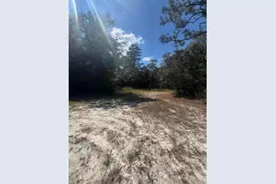 X Eagles Way, Defuniak Springs, FL 32433 - Photo 11