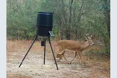 X Eagles Way, Defuniak Springs, FL 32433 - Photo 23