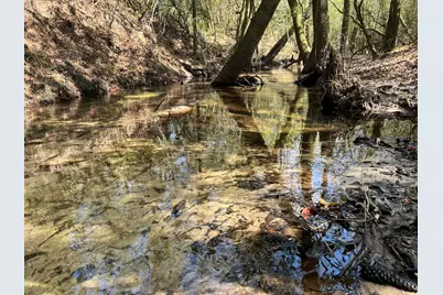 X Eagles Way, Defuniak Springs, FL 32433 - Photo 15