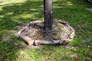 133 Smith St, Crestview, FL 32539 - Photo 27