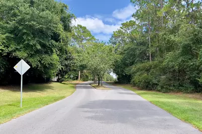 49 Acres Summer Creek Cv & John King Rd, Crestview, FL 32539 - Photo 3