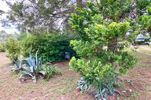 17 Nowling Dr, Defuniak Springs, FL 32433 - Photo 45