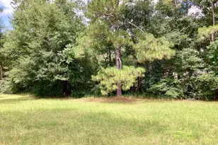 17 Nowling Dr, Defuniak Springs, FL 32433 - Photo 47