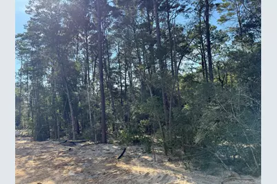 181 Caraway Drive, Niceville, FL 32578 - Photo 3