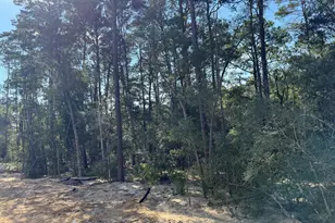 181 Caraway Dr, Niceville, FL 32578 - Photo 3