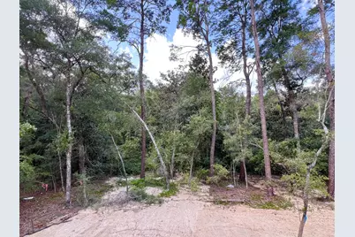 237 Foxglove Run, Niceville, FL 32578 - Photo 7