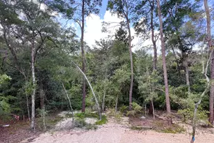 237 Foxglove Run, Niceville, FL 32578 - Photo 7