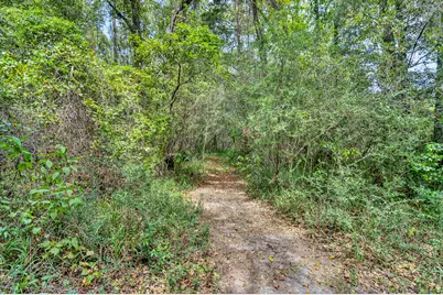 1955 N Highway 181 N, Westville, FL 32464 - Photo 51