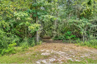 1955 N Highway 181 N, Westville, FL 32464 - Photo 53