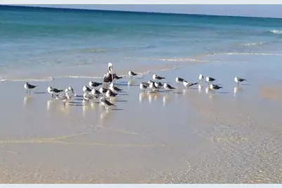 1515 SE Miracle Strip Parkway SE #503, Fort Walton Beach, FL 32548 - Photo 25