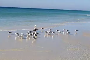 1515 SE Miracle Strip Parkway SE, Fort Walton Beach, FL 32548 - Photo 25