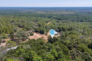 4194 Log Lake Rd, Holt, FL 32564 - Photo 9