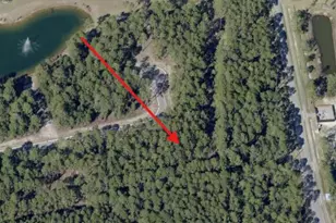 Lot 37 E Captain Fritz Way E, Freeport, FL 32439 - Photo 1