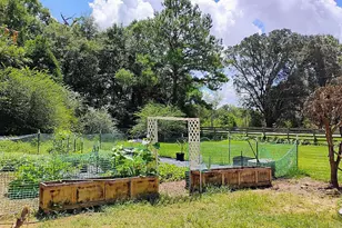 650 Satellite Rd, Graceville, FL 32440 - Photo 3