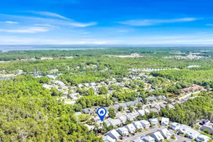 231 Via Largo, Santa Rosa Beach, FL 32459 - Photo 47