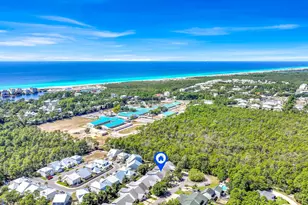 231 Via Largo, Santa Rosa Beach, FL 32459 - Photo 43