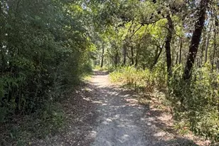 231 Via Largo, Santa Rosa Beach, FL 32459 - Photo 39